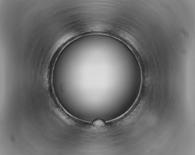 X0000112531026200908171416