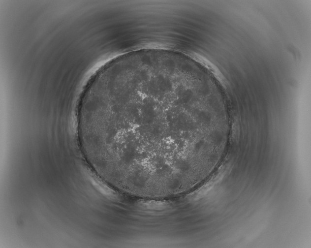 X0000112531027200908171416