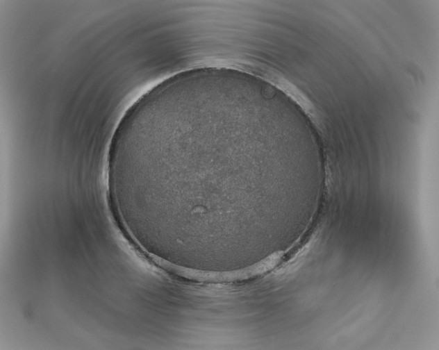 X0000112531028200908171416