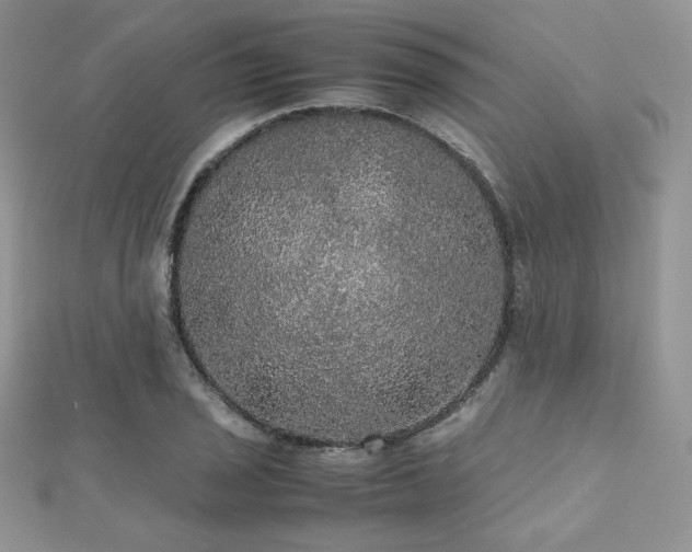 X0000112531029200908171416