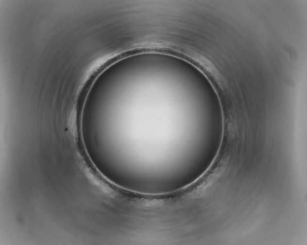 X0000112531030200908171416