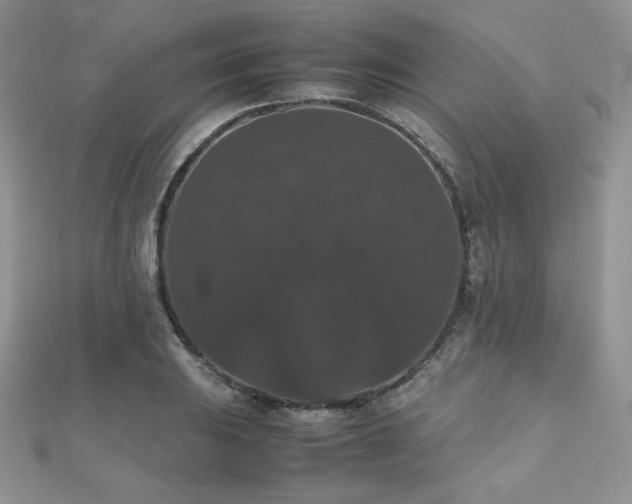 X0000112531031200908171416