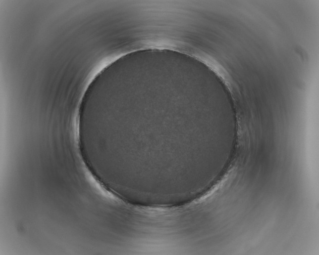 X0000112531032200908171416