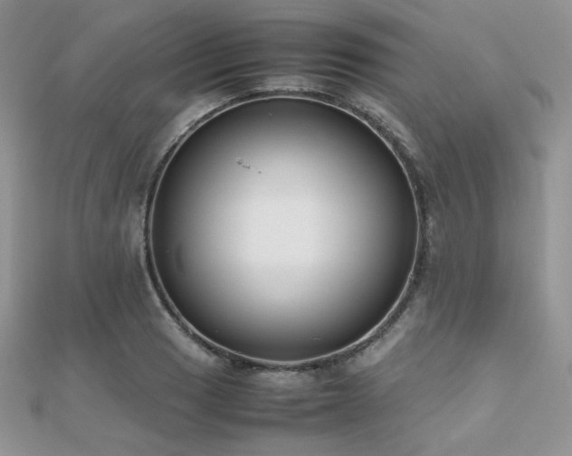 X0000112531033200908171416