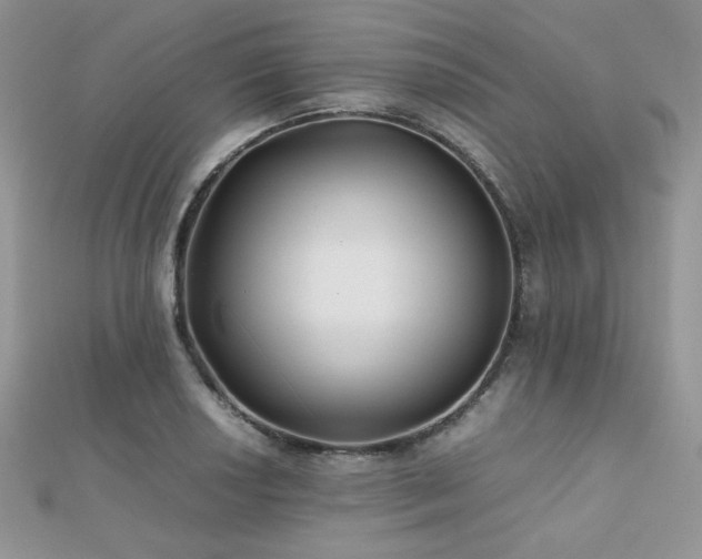 X0000112531034200908171416