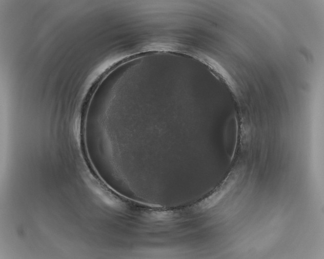 X0000112531035200908171416