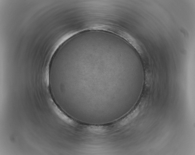 X0000112531036200908171416