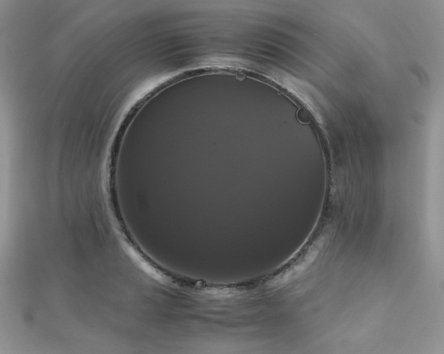 X0000112531037200908171416