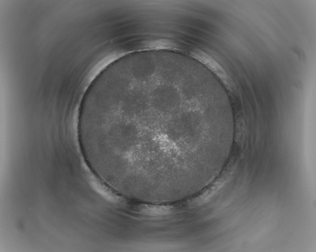 X0000112531039200908171416