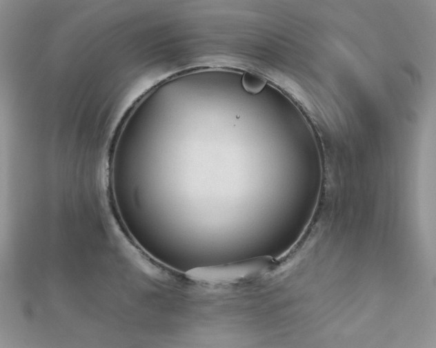 X0000112531040200908171416