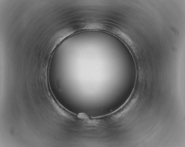 X0000112531041200908171416