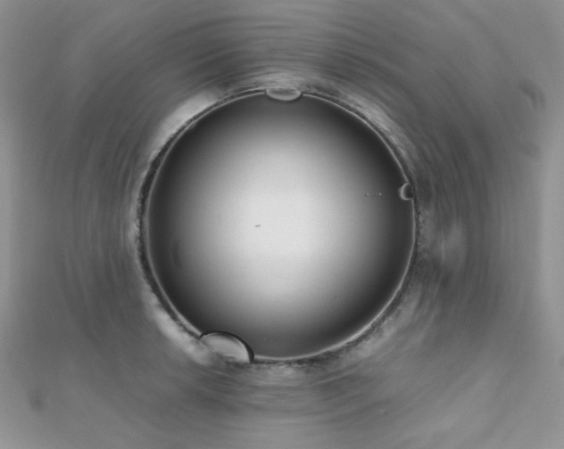 X0000112531042200908171416
