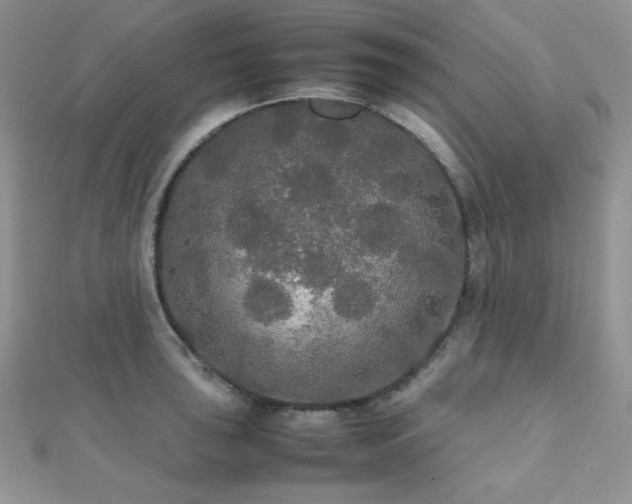 X0000112531043200908171416