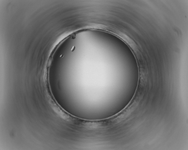 X0000112531044200908171416