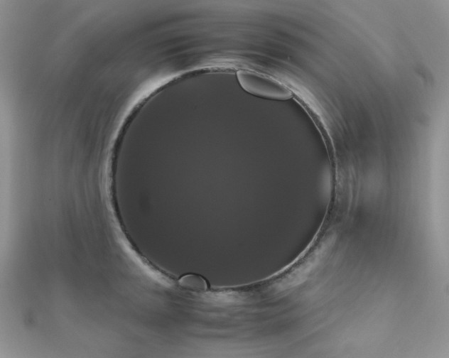 X0000112531045200908171416