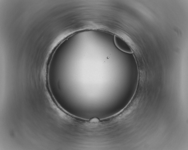 X0000112531046200908171416