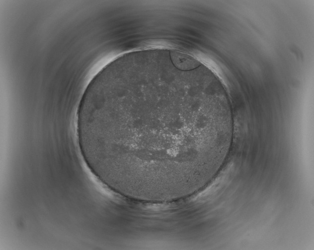 X0000112531047200908171416