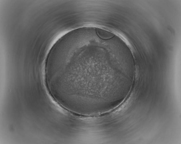 X0000112531048200908171416