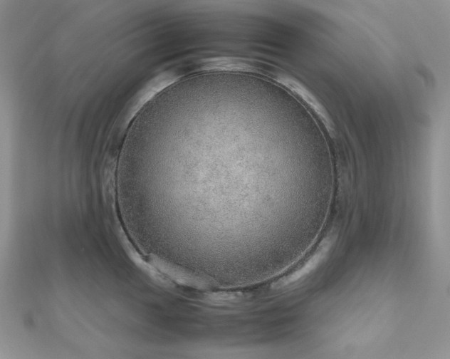 X0000112531049200908171416