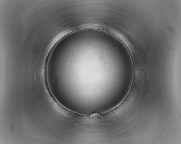 X0000112531050200908171416