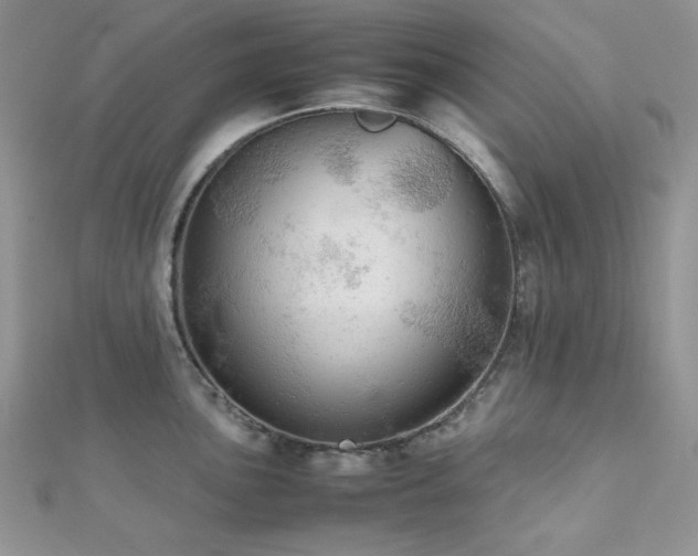 X0000112531051200908171416