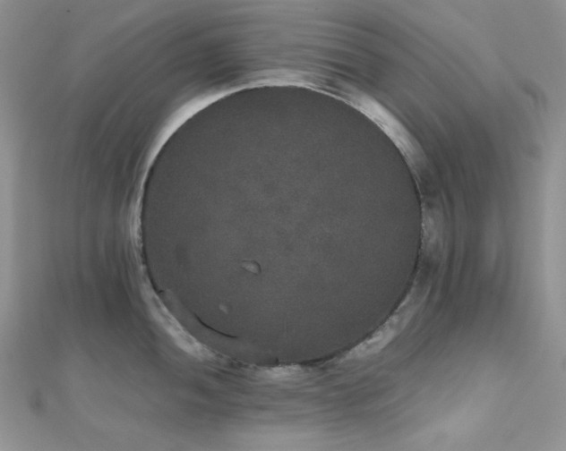 X0000112531052200908171416