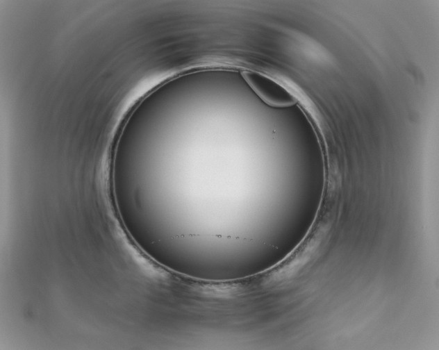 X0000112531053200908171416