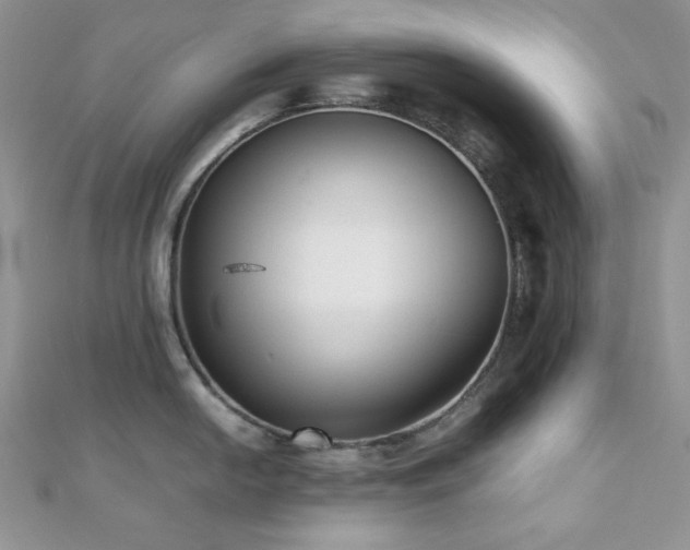 X0000112531054200908171417