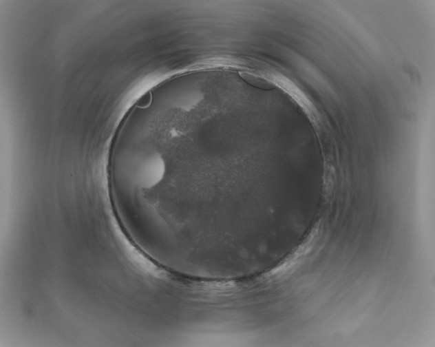 X0000112531055200908171417