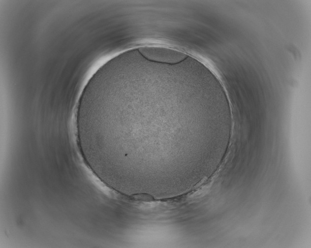 X0000112531056200908171417