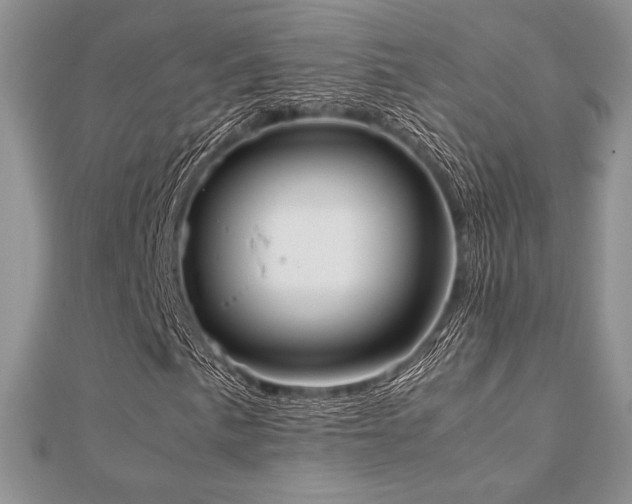 X0000112531057200908171416