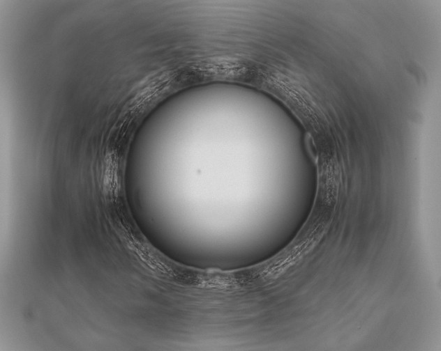 X0000112531058200908171416