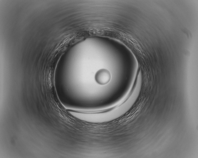 X0000112531060200908171416