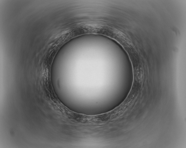 X0000112531061200908171416