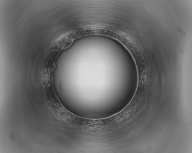 X0000112531062200908171416