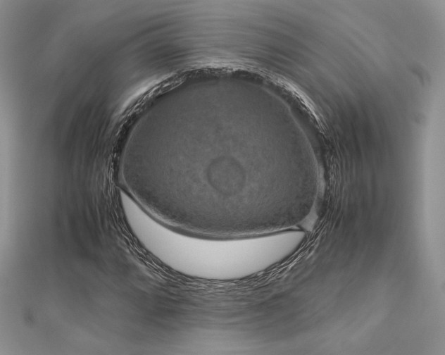 X0000112531064200908171416