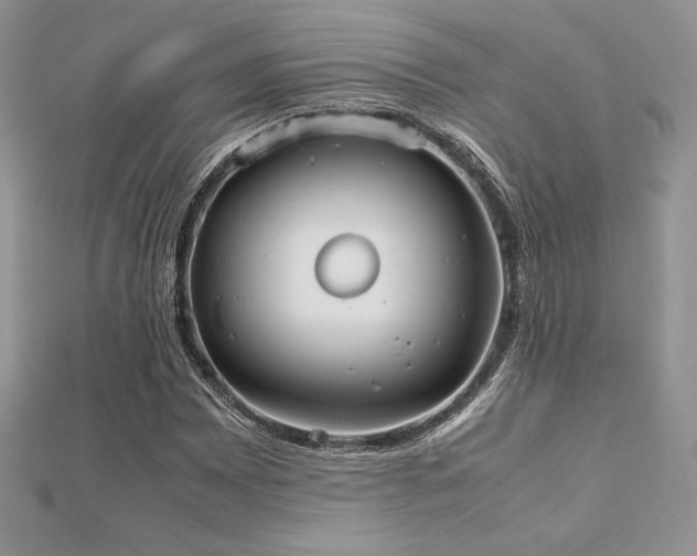 X0000112531065200908171416