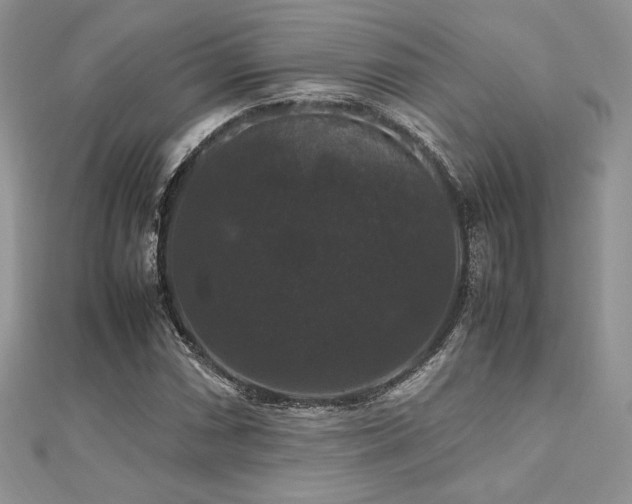 X0000112531066200908171416