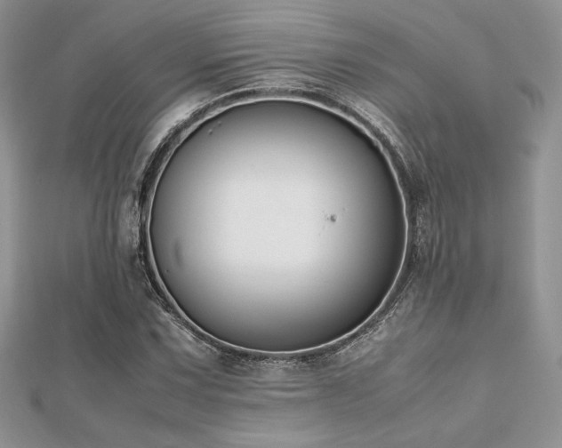 X0000112531067200908171416