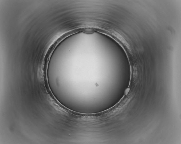 X0000112531068200908171416