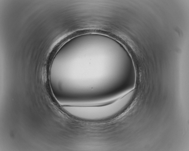 X0000112531069200908171416