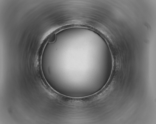 X0000112531070200908171416