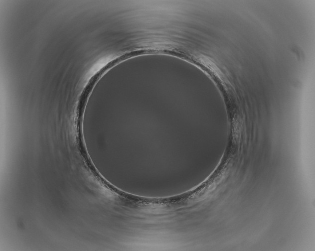 X0000112531071200908171416