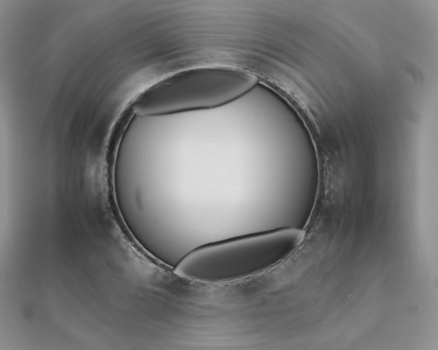 X0000112531072200908171416