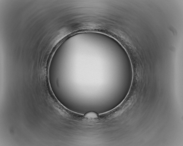 X0000112531073200908171416