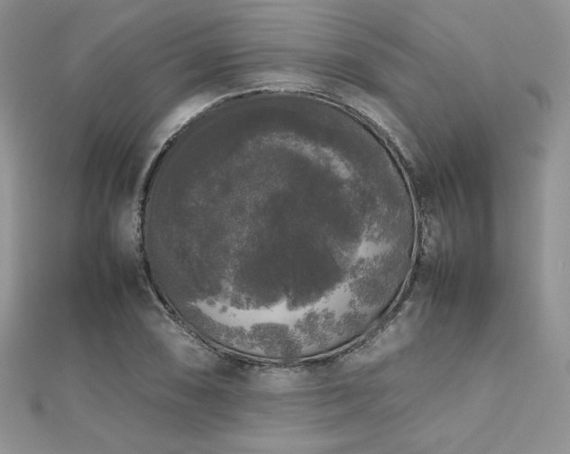 X0000112531074200908171416