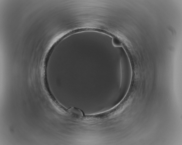 X0000112531077200908171416