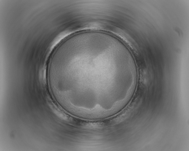 X0000112531078200908171416