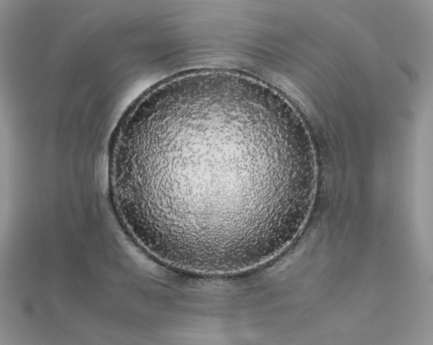 X0000112531079200908171416