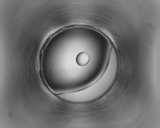 X0000112531080200908171416